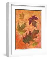 Swirling Autumn Leaves-Bee Sturgis-Framed Art Print