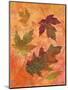 Swirling Autumn Leaves-Bee Sturgis-Mounted Art Print