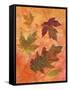 Swirling Autumn Leaves-Bee Sturgis-Framed Stretched Canvas