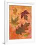 Swirling Autumn Leaves-Bee Sturgis-Framed Art Print