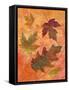 Swirling Autumn Leaves-Bee Sturgis-Framed Stretched Canvas