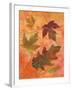 Swirling Autumn Leaves-Bee Sturgis-Framed Art Print