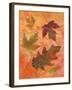 Swirling Autumn Leaves-Bee Sturgis-Framed Art Print