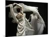 Swirling Dancers 8-Steven Boone-Mounted Photographic Print