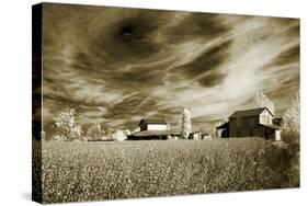 Swirling Sky-Alan Hausenflock-Stretched Canvas