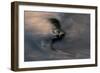 Swirling Water-Charles Bowman-Framed Photographic Print