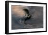 Swirling Water-Charles Bowman-Framed Photographic Print