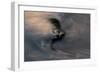 Swirling Water-Charles Bowman-Framed Photographic Print