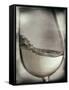 Swirling White Wine-Steve Lupton-Framed Stretched Canvas