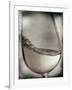 Swirling White Wine-Steve Lupton-Framed Photographic Print