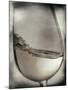 Swirling White Wine-Steve Lupton-Mounted Photographic Print