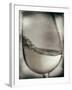 Swirling White Wine-Steve Lupton-Framed Photographic Print