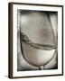 Swirling White Wine-Steve Lupton-Framed Photographic Print