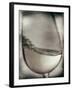 Swirling White Wine-Steve Lupton-Framed Photographic Print