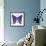 Swirls Butterfly-Delyth Angharad-Framed Giclee Print displayed on a wall