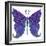 Swirls Butterfly-Delyth Angharad-Framed Giclee Print