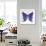 Swirls Butterfly-Delyth Angharad-Framed Giclee Print displayed on a wall