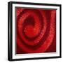 Swirls of nail polish-Jack Miskell-Framed Photographic Print