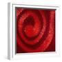 Swirls of nail polish-Jack Miskell-Framed Photographic Print