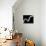 Swirls Reverse I-Monika Burkhart-Stretched Canvas displayed on a wall