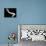 Swirls Reverse II-Monika Burkhart-Framed Stretched Canvas displayed on a wall