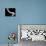Swirls Reverse II-Monika Burkhart-Stretched Canvas displayed on a wall