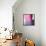 Swish of Magenta II-Piper Rhue-Framed Stretched Canvas displayed on a wall