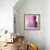 Swish of Magenta II-Piper Rhue-Framed Art Print displayed on a wall