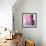 Swish of Magenta II-Piper Rhue-Framed Art Print displayed on a wall