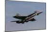 Swiss Air Force F-18C Hornet Used for Air Policing-null-Mounted Photographic Print