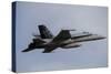 Swiss Air Force F-18C Hornet Used for Air Policing-null-Stretched Canvas