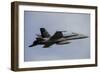 Swiss Air Force F-18C Hornet Used for Air Policing-null-Framed Photographic Print