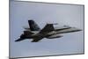 Swiss Air Force F-18C Hornet Used for Air Policing-null-Mounted Photographic Print