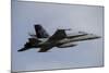 Swiss Air Force F-18C Hornet Used for Air Policing-null-Mounted Photographic Print