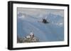 Swiss Air Force F-5E Tigers Above Sion Air Base, Sion, Switzerland-null-Framed Photographic Print