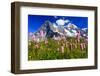 Swiss Alps, Eiger and Moench, Bernese Oberland, Switzerland-Patrick Frischknecht-Framed Photographic Print