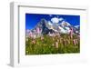 Swiss Alps, Eiger and Moench, Bernese Oberland, Switzerland-Patrick Frischknecht-Framed Photographic Print