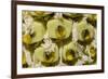 Swiss Cheese Plant (Monstera Deliciosa) in Flower, Close Up of Spadix-Georgette Douwma-Framed Photographic Print