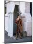 Swiss Guard at the Vatican, Rome, Lazio, Italy-Philip Craven-Mounted Photographic Print