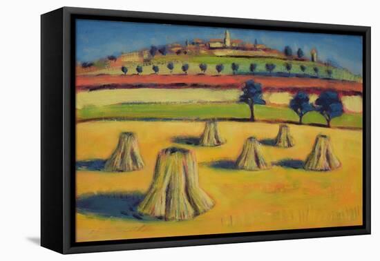 Swiss Harvest-Sara Hayward-Framed Stretched Canvas