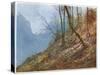 Swiss Hill Slope-John Fulleylove-Stretched Canvas