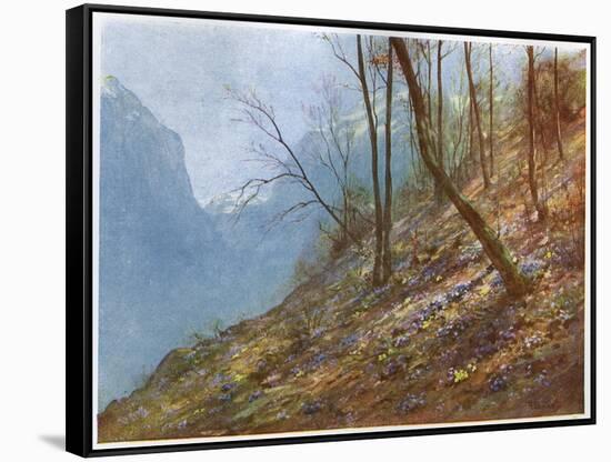 Swiss Hill Slope-John Fulleylove-Framed Stretched Canvas