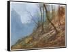 Swiss Hill Slope-John Fulleylove-Framed Stretched Canvas