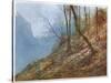 Swiss Hill Slope-John Fulleylove-Stretched Canvas