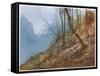 Swiss Hill Slope-John Fulleylove-Framed Stretched Canvas