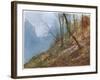 Swiss Hill Slope-John Fulleylove-Framed Art Print