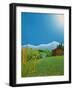 Swiss Muesli, 1996-Larry Smart-Framed Giclee Print