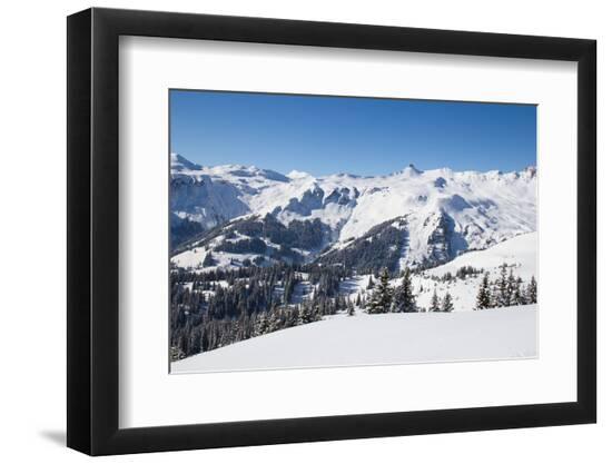 Premium Photographic Print, , large