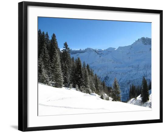 Premium Photographic Print, , large