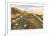 Switchbacks up Pike's Peak, Colorado-null-Framed Art Print